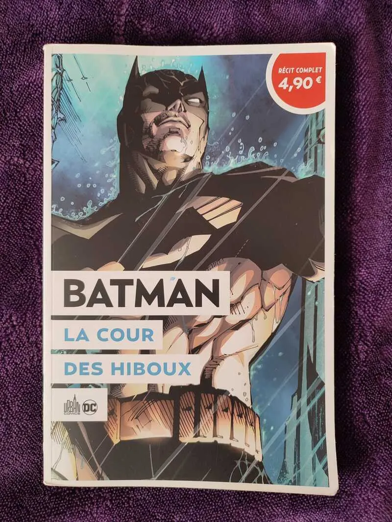 La cour des Hiboux